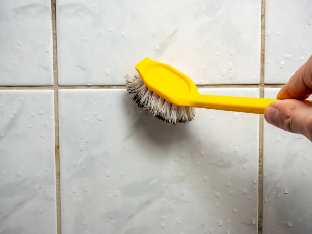 Best Mold Testing  in Post, TX