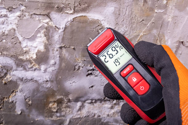 Best Mold Removal Company Near Me  in Post, TX