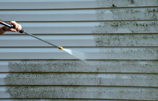 Best Mold Damage Repair  in Post, TX