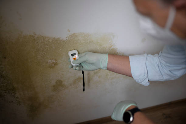 Best Mold Testing  in Post, TX