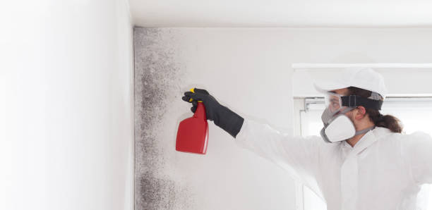 Best Mold Cleaning Services  in Post, TX