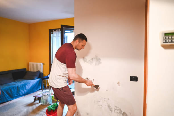 Certified Mold Removal in Post, TX